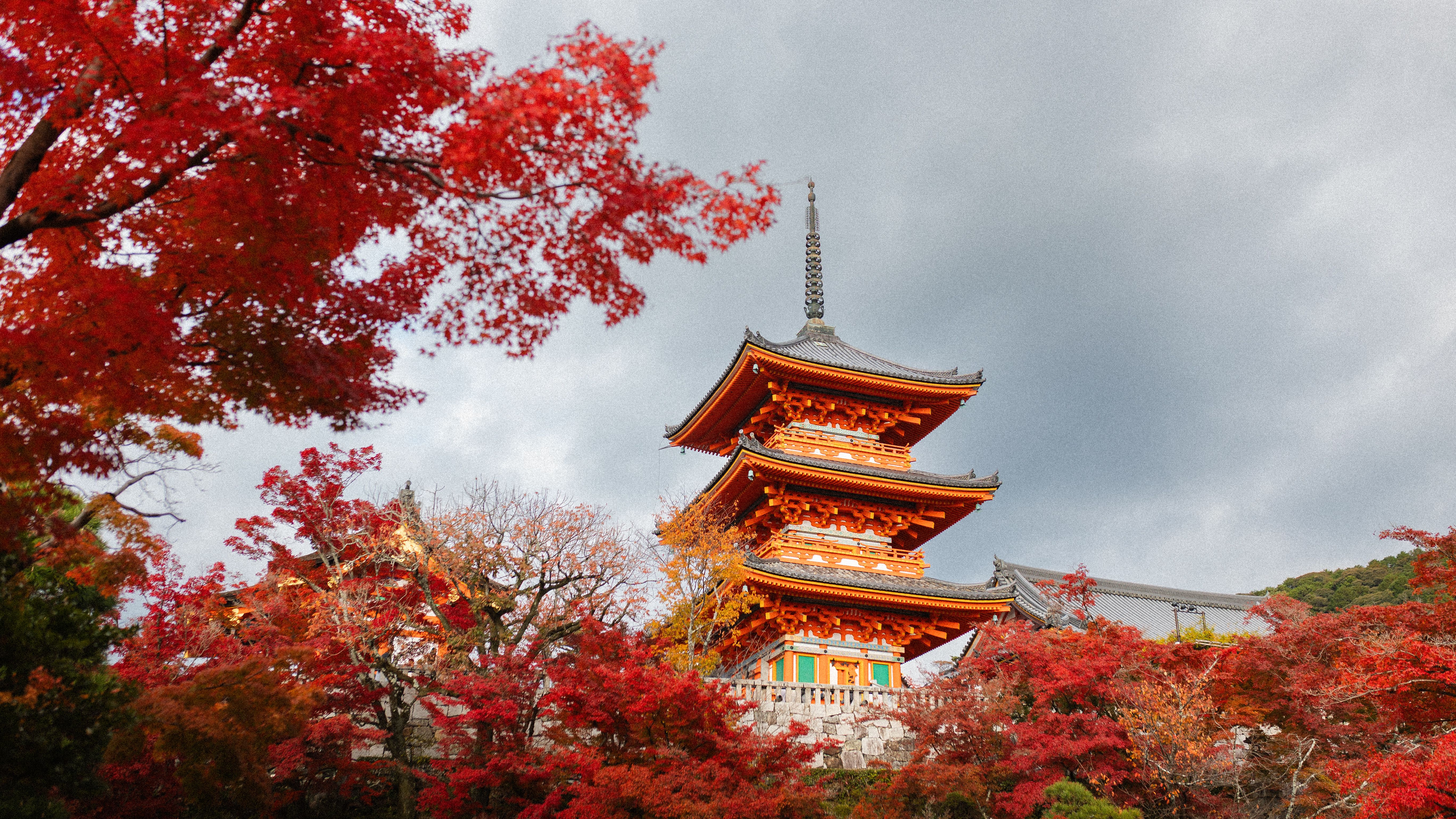 Japanese Temple surrounded by japanese maple trees